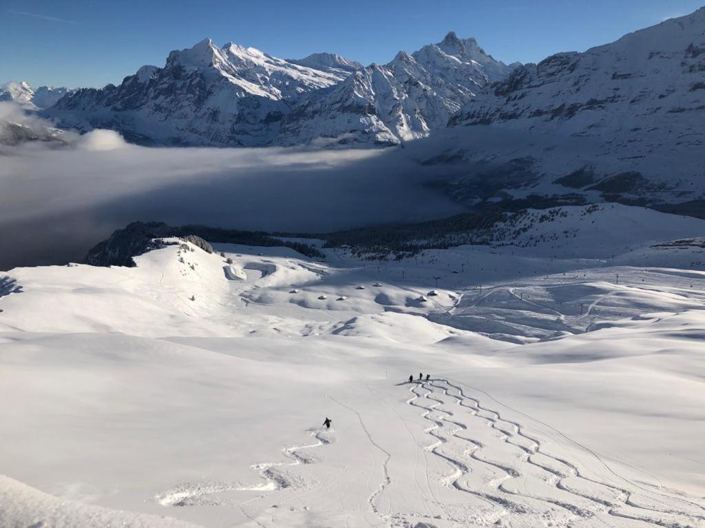 Chalet Caramelle Grindelwald Eksteriør billede