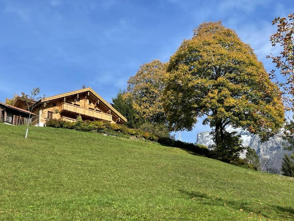 Chalet Caramelle Grindelwald Eksteriør billede