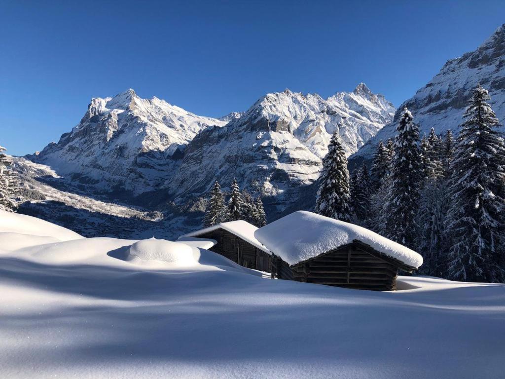 Chalet Caramelle Grindelwald Eksteriør billede