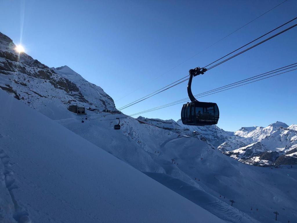 Chalet Caramelle Grindelwald Eksteriør billede