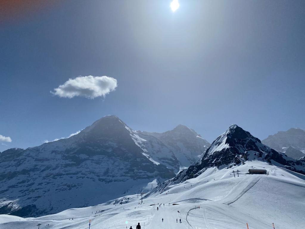 Chalet Caramelle Grindelwald Eksteriør billede